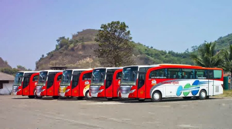 Agen Bus Harga Bus Tiket Bus po Bus Damri Cirebon